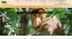 Desktop Screenshot of borneotropicaladventures.com